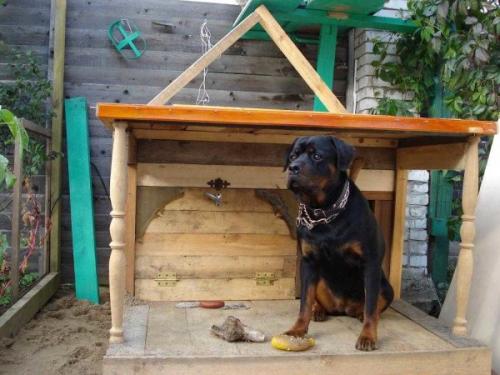 Простая будка для собаки своими руками. Определяемся с размерами и конструкцией