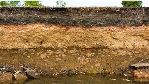 Профнастил для забора. Вводная часть