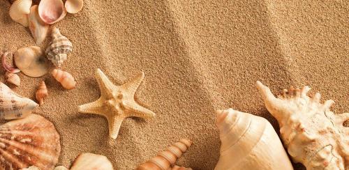 Столешница из эпоксидной смолы с цветами. Выбор элементов каркаса