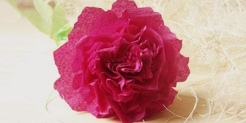 Большой цветок из гофрированной бумаги. Цветы из гофрированной бумаги своими руками, которые не отличить от настоящих!