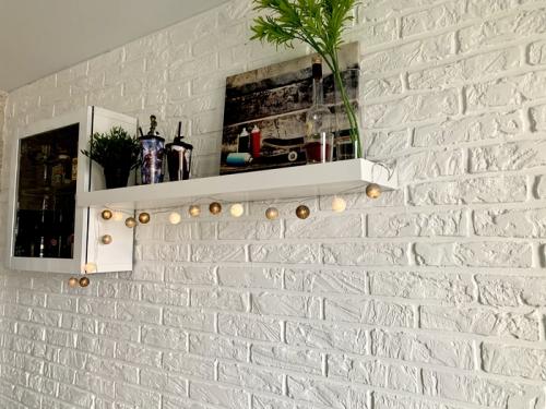 Штукатурка для имитации кирпича. Стена под кирпич из штукатурки своими руками