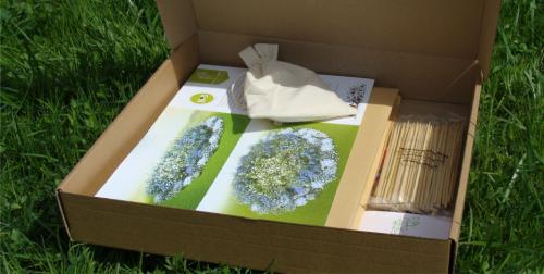 Как сделать высокую клумбу. Клумбы для цветов из подручных материалов своими руками 12 Как сделать высокую клумбу. Клумбы для цветов из подручных материалов своими руками 12