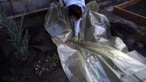 Бюджетный'' пруд своими руками. Процесс строительства садового пруда