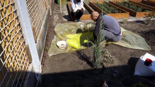 Бюджетный'' пруд своими руками. Процесс строительства садового пруда