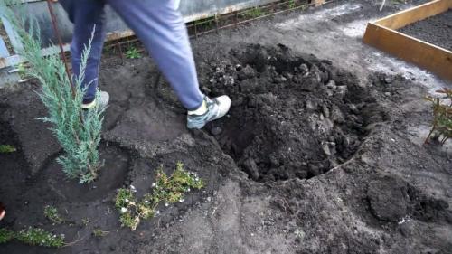 Бюджетный'' пруд своими руками. Процесс строительства садового пруда