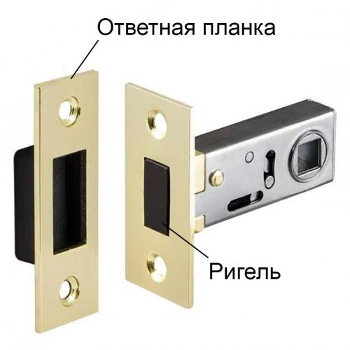 Какие особенности нужно учитывать при выборе мебельных дверных магнитов