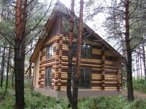 Как выбрать подходящий цвет для дома из бревна 04