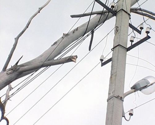 Сборка электрощита с узо и реле напряжения. УЗИП или реле напряжения