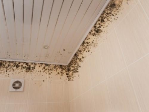 Подвесной потолок своими руками из панелей. Выбор панелей на потолок 09 Подвесной потолок своими руками из панелей. Выбор панелей на потолок 09