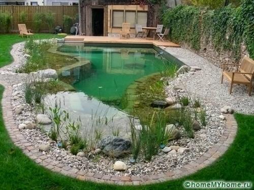 Как сделать мини-пруд на даче своими руками. Как сделать пруд на даче своими руками пошагово: фото и особенности декорирования