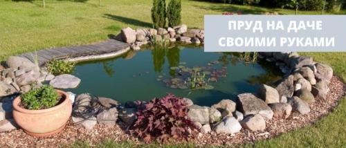 Как сделать пруд на даче из готовой формы. Как сделать пруд своими руками: пошаговая инструкция и фото прудов на участке