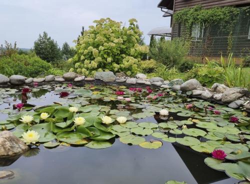 Как построить пруд на даче своими руками. Добавление статьи в новую подборку 01