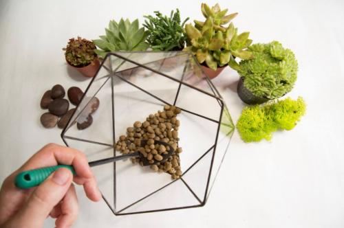 Грунт для влажного флорариума. Грунт и дренаж для флорариума: