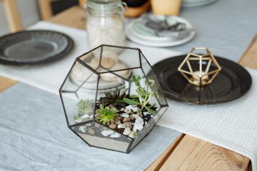 Грунт для флорариума. Научитесь делать флорариум своими руками! 03 Грунт для флорариума. Научитесь делать флорариум своими руками! 03