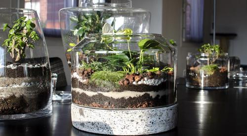 Грунт для флорариума. Научитесь делать флорариум своими руками! 08 Грунт для флорариума. Научитесь делать флорариум своими руками! 08