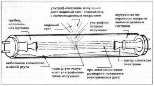 Схема подключения люминесцентной лампы. Подключение люминесцентной лампы