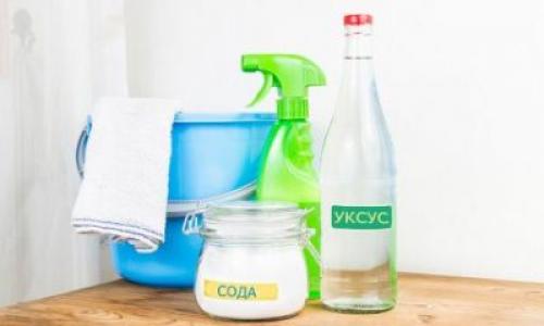 Как избавиться от плесени в ванной на швах. Методы ликвидации в ванной комнате и душе