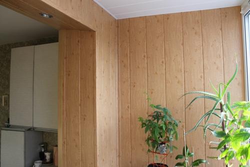 Отделка стен кухни панелями. Дизайн кухни с пластиковыми панелями