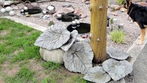 Поделки из цемента своими руками поэтапно. Пошаговые инструкции по изготовлению: 3 мастер-класса