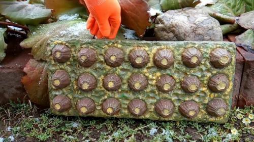 Дачница бездельница поделки из цемента. Из яичных лотков и цемента мастерица творит красоту для участка