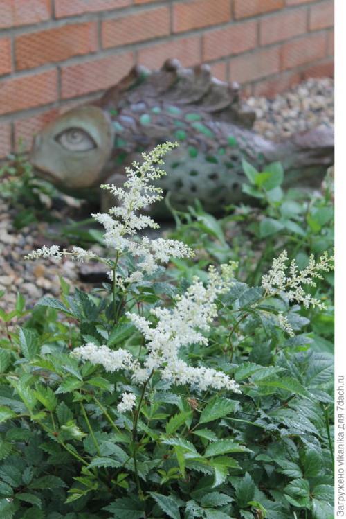 Фигуры из бетона своими руками. Мой первый опыт изготовления скульптуры из бетона. Мастер-класс