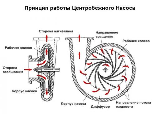 Насос (вихревой или центробежный). Чем отличается центробежный насос от вихревого?