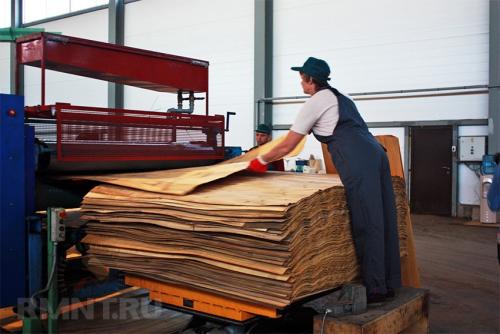 Виды фанеры для декоративной отделки. Подготовка поверхностей к облицовке 07