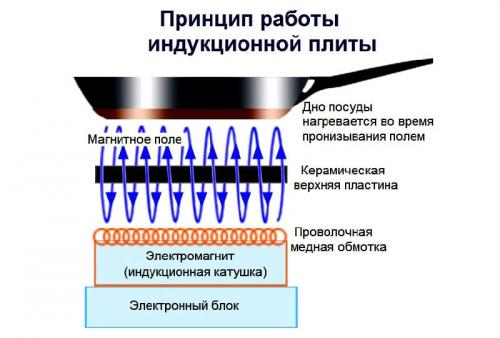 Какие преимущества использования посуды, специально предназначенной для индукции. Как правильно выбирать посуду для индукционных плит: обзор лучших производителей и популярных моделей